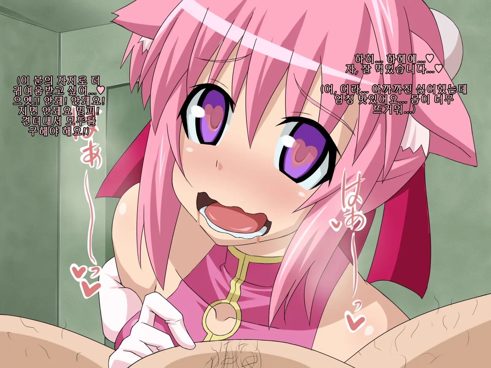 Kininatteita Onnanoko Ga, Itsunomanika Kimobuta Otoko No Chinpo Ana Ni Tsukuri Kaerareteita... ~PET DAYS~